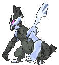 Black Kyurem